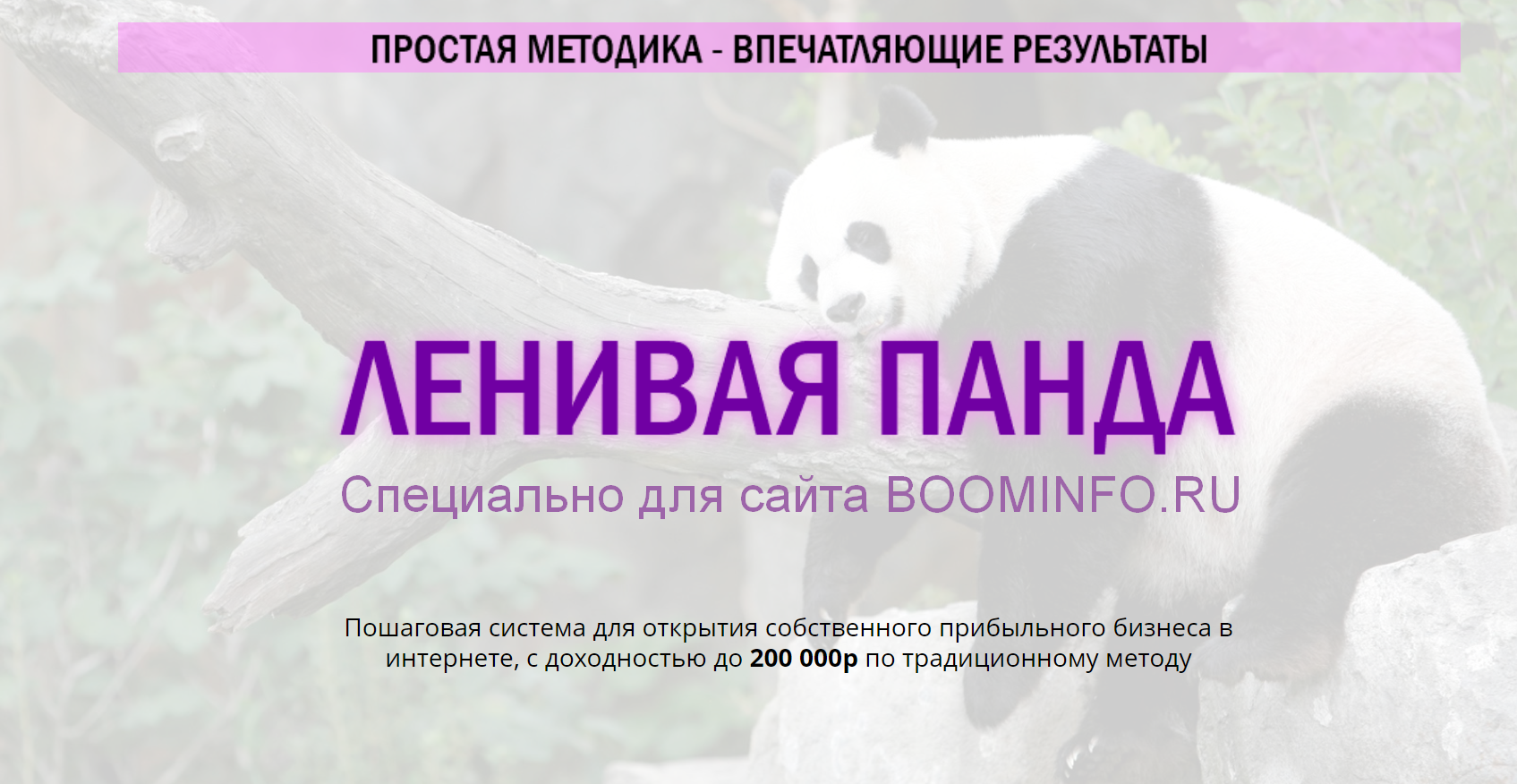 [Сергей Филиппов] Ленивая панда (2020)_0.png